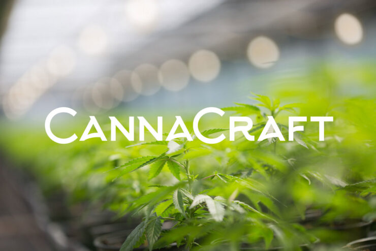 CannaCraft logo